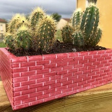 tijolo pote de a casa potty tijolos brig parede bonsai cactus falha mudas planta da terra jardim 3d print model - Mito3D