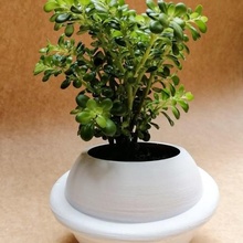 bright planet pot matera vase flower flowerpot decoration plantpot 3d print model - Mito3D