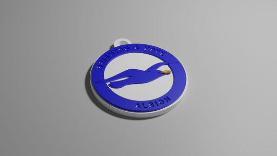 brighton key ring albion premier league football soccer 3d print model - Mito3D
