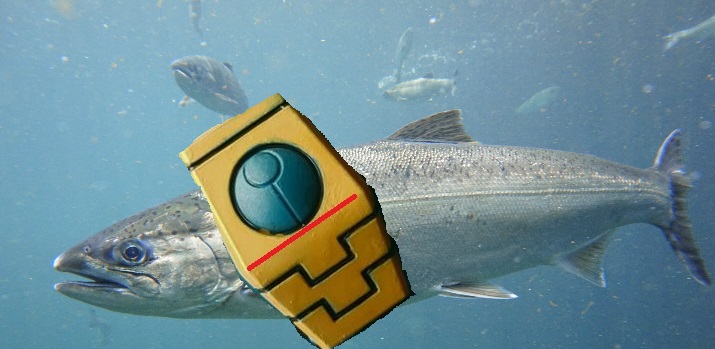 ancho salmón hombrera juego tau 2pi 3D print model - Mito3D