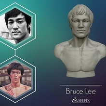 Bruce Lee 3d imprimable modèle impression sculpture fdm buste Humain tête art sculptures 3d print model - Mito3D