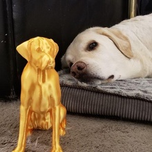 Brüder Statue Kunst Tier Hund Labrador Eckzahn Urne 3d print model - Mito3D