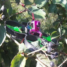 sin escobillas de obturación error juego r c vehículos whoop palillo dientes quadcopter marco micro cepillo el fpv racer freestyle drone amax 1103 amaxinno 3d print model - Mito3D