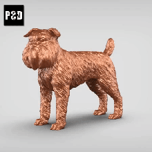 Bruxelles griffon v1 art chien animal jouet compagnie figurines 3d print model - Mito3D
