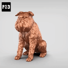 Bruxelles grifone v2 arte cane animale giocattolo domestico figurine 3d print model - Mito3D
