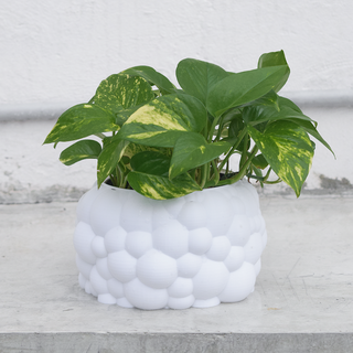 bubu - vase mode planter planter pot vase vase mode  3d print model - Mito3D