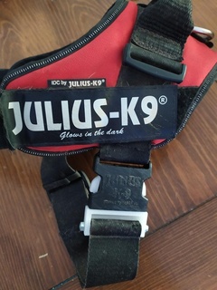 buckle julius k9 pets 3d print model - Mito3D