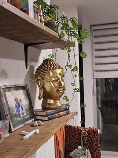 buda Home buddha buddha  3d print model - Mito3D