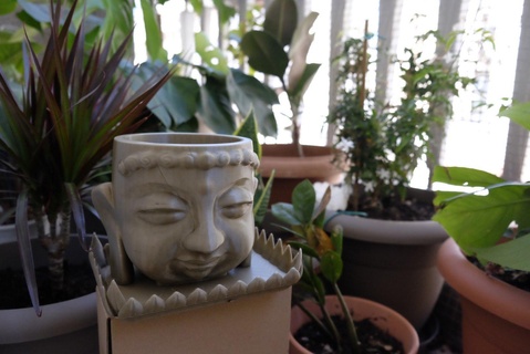 buddha fiore pentola casa vaso giardino 3d print model - Mito3D