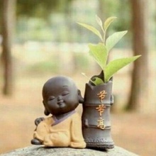 Buddha Blumentopf Wohlstand Pflanze Pflanzen Garten Zuhause Haus Büro Dekoration Baby 3d print model - Mito3D