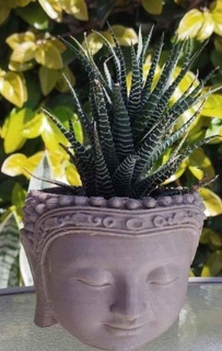 buddha vaso fiori casa 3d print model - Mito3D