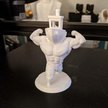 buff benchy - ultra swole 3d printing torture-test tool tests 3d print model - Mito3D