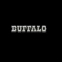 buffalo verschiedene western 3d print model - Mito3D