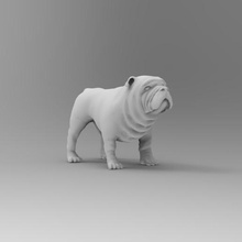 bull dog art la vida silvestre zbrush maya midpoly animal perro 3d print model - Mito3D