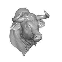 bull head bull head 3d print model - Mito3D