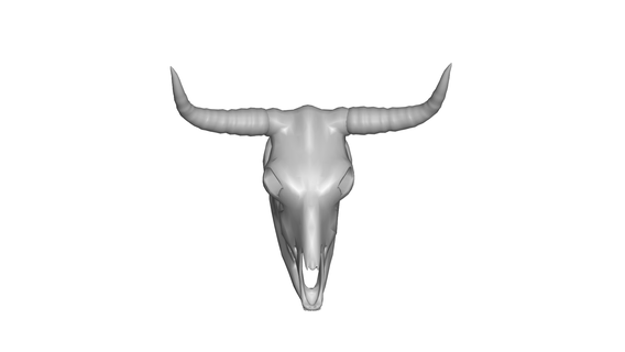 bull head wall decor 3d print model - Mito3D