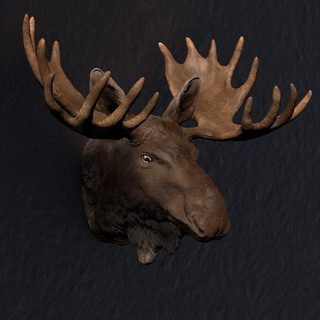Toro alce ritratto parete arte bolla Svezia queisser high polygon 3d modello animale Lapponia Norvegia regalo scultura selvaggio Stampa 3d print model - Mito3D