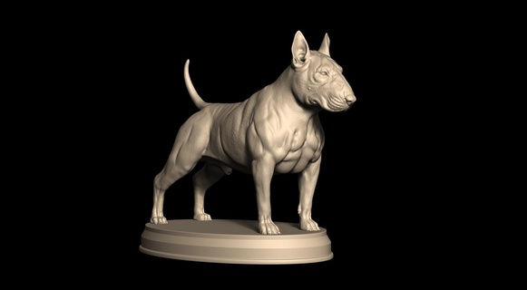 Toro terrier 3d print model - Mito3D