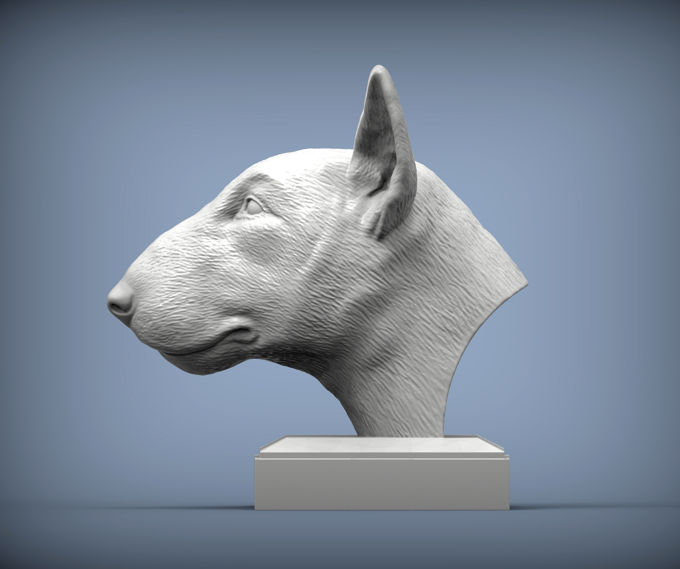 taureau terrier 3d impression modèle art Bull chien nature mammifère animal compagnie sculpture statuette présent sculpter sculptures statue imprimable buste 3D print model - Mito3D