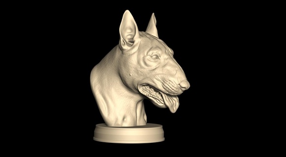taureau terrier buste 3d print model - Mito3D