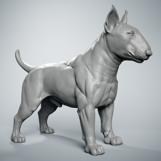 Stier Terrier Hund Bullterrier Natur Säugetier Tier Haustier Skulptur Statuette Kunst Pitbull druckbar Hündchen sc 3d print model - Mito3D