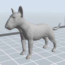 bull terrier Hund verschiedene Tiere Tier 3d print model - Mito3D