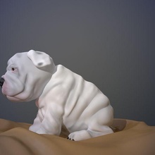 bulldog bambino animale cane cani 3d print model - Mito3D