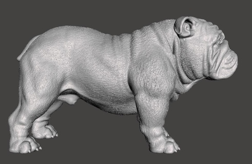 bulldog temel Sanat ingilizce yüzsüz oyuncak köpek zorba Pitbull 3d print model - Mito3D