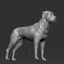 bullmastiff animal chien compagnie 3d print model - Mito3D