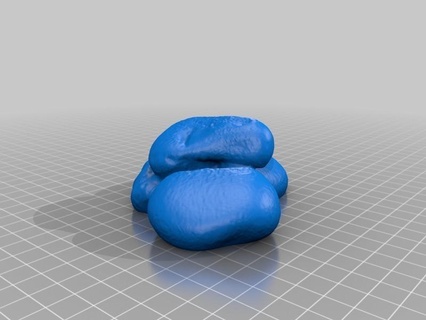 mazzo rocce digitalizzatore makerbot scansione arte 3d print model - Mito3D