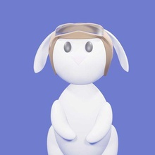 bunny aviator biplane plan airplane aerospace aeronautica flight rabbit hare 3d print model - Mito3D