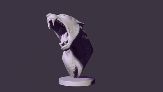 bust lioness aggressively open mouth lion panther cougar jaws chops animal beast brute fangs canine tooth cuspid cat print 3dprint art teeth figure 3d print model - Mito3D