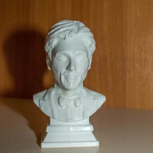 busto richard hammond a arte richardhammond thegrandtour topgear figura escultura 3d print model - Mito3D
