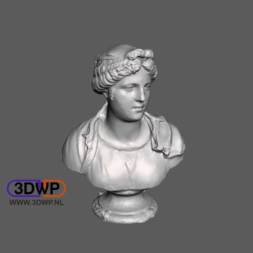 busto di giovane donna - simone bianco statua scansione 3d art 123d 123dcatch catch Scansione il greco scultura greca italiano meshmixer romano arte romana la scansioni repliche 3D print model - Mito3D