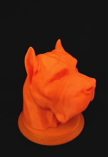 busto presse Canari animaux animales perro domestiques créateur compétition 3d print model - Mito3D