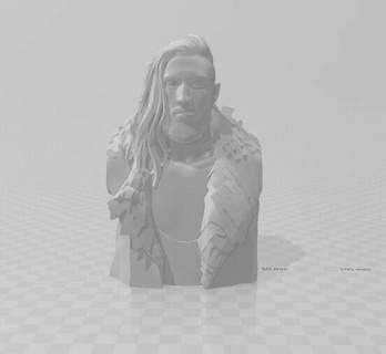 butch wwe bust fka pete dunne brawling brutes wrestling 2k22 video game 3d print model - Mito3D
