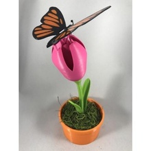 butterfly home 3d print model - Mito3D