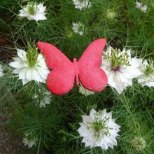 butterfly home decoration magnet magnets 3d print model - Mito3D