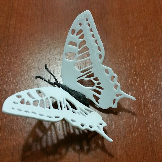 farfalla animale 3D print model - Mito3D