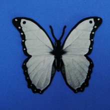 papillon pendentif divers 3d print model - Mito3D