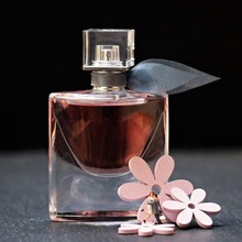 buy ladies fragrance 3d print model - Mito3D