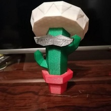 cactus jouet poly 3d print model - Mito3D
