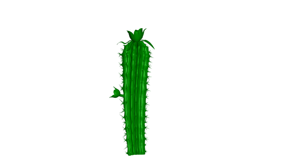 cactus - flower plant tree green garden 3d print model - Mito3D