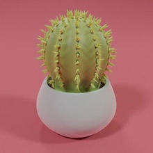 cactus arredamento 3d print model - Mito3D