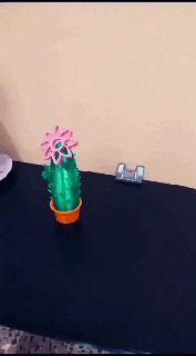 cactus Floraison 3d print model - Mito3D