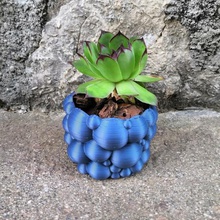 cactus bubble pot home vase flower chocolate candy jar art soap 3d print model - Mito3D