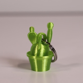 cactus lapin oreilles porte clés clé crochet plantes jardin voiture maison 3d print model - Mito3D