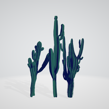 cactus crecimiento especies Desierto 3d print model - Mito3D