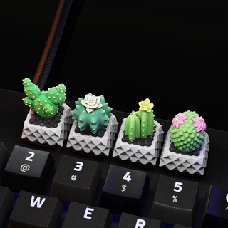 cactus teclas mecánico teclado tecla suculento 3d stl Cereza mx llaves 3d print model - Mito3D