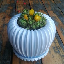 cactus plantador plantadeira 3d print model - Mito3D